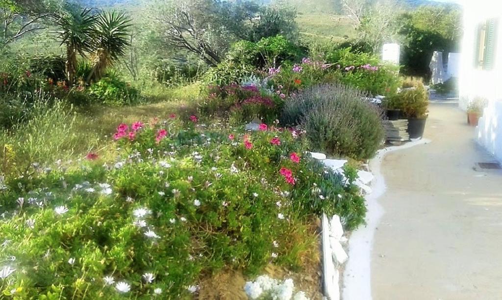 Avgoustis' Stone House Villa Otziás Buitenkant foto