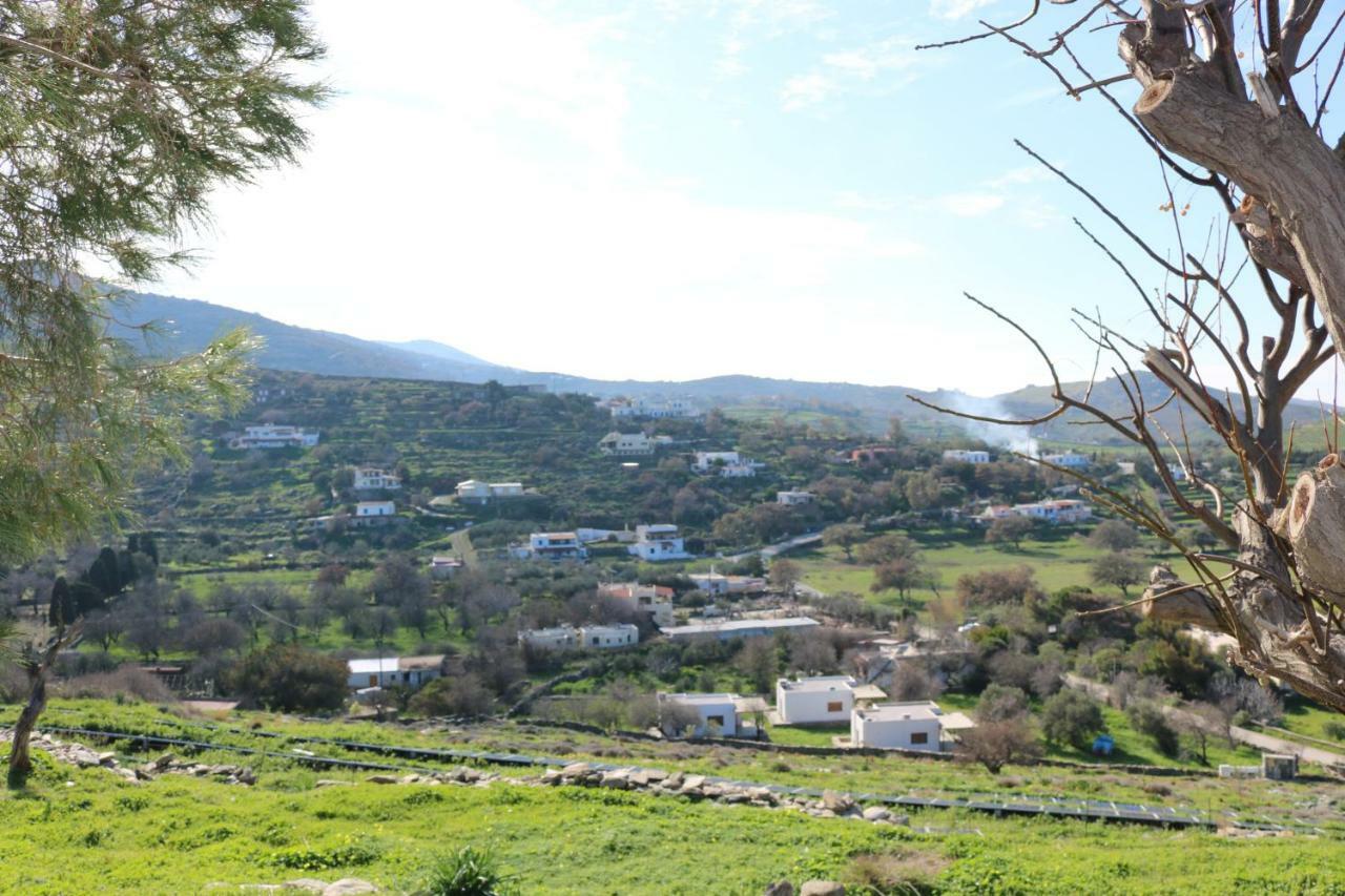 Avgoustis' Stone House Villa Otziás Buitenkant foto